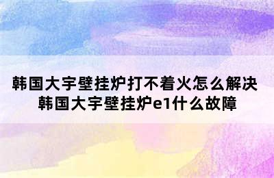 韩国大宇壁挂炉打不着火怎么解决 韩国大宇壁挂炉e1什么故障